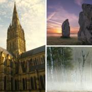 The best five photos taken by the Salisbury Journal Camera Club this week