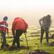 Wooldland Trust has free trees for community groups or schools