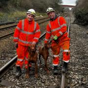 Network Rail saves two Vizslas