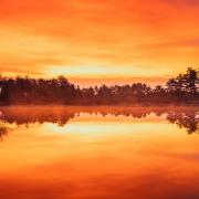 Hang Ross shared this beautiful New Forest sunrise