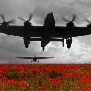 An RAF Halifax Tug towing a Horsa Glider to war during the Second World War. The field of poppies was added to the image for Remembrance Day.