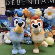 Bluey and Bingo, pictured here at The Lanes Shopping Centre in Carlisle, are set to visit Cholderton Rare Breeds Farm on Wednesday, May 29.