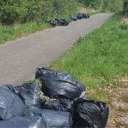 Large bin bags filled with cannabis dumped on the side of a country lane