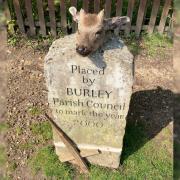 A severed deer head was placed on a centenary stone in Burley.