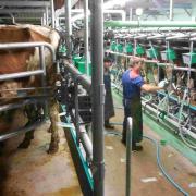 Fair trade needed for dairy farmers too