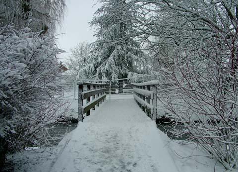 Nelly Sanchez sent us this wintry view of the Town Path bridge in Salisbury.
