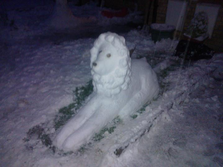 Jordee Barry sent us this picture of a lovely snow lion, made by Yvonne Pickering.
