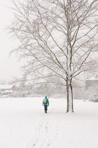 Adrian Harris took this shot of a walker braving the snow.