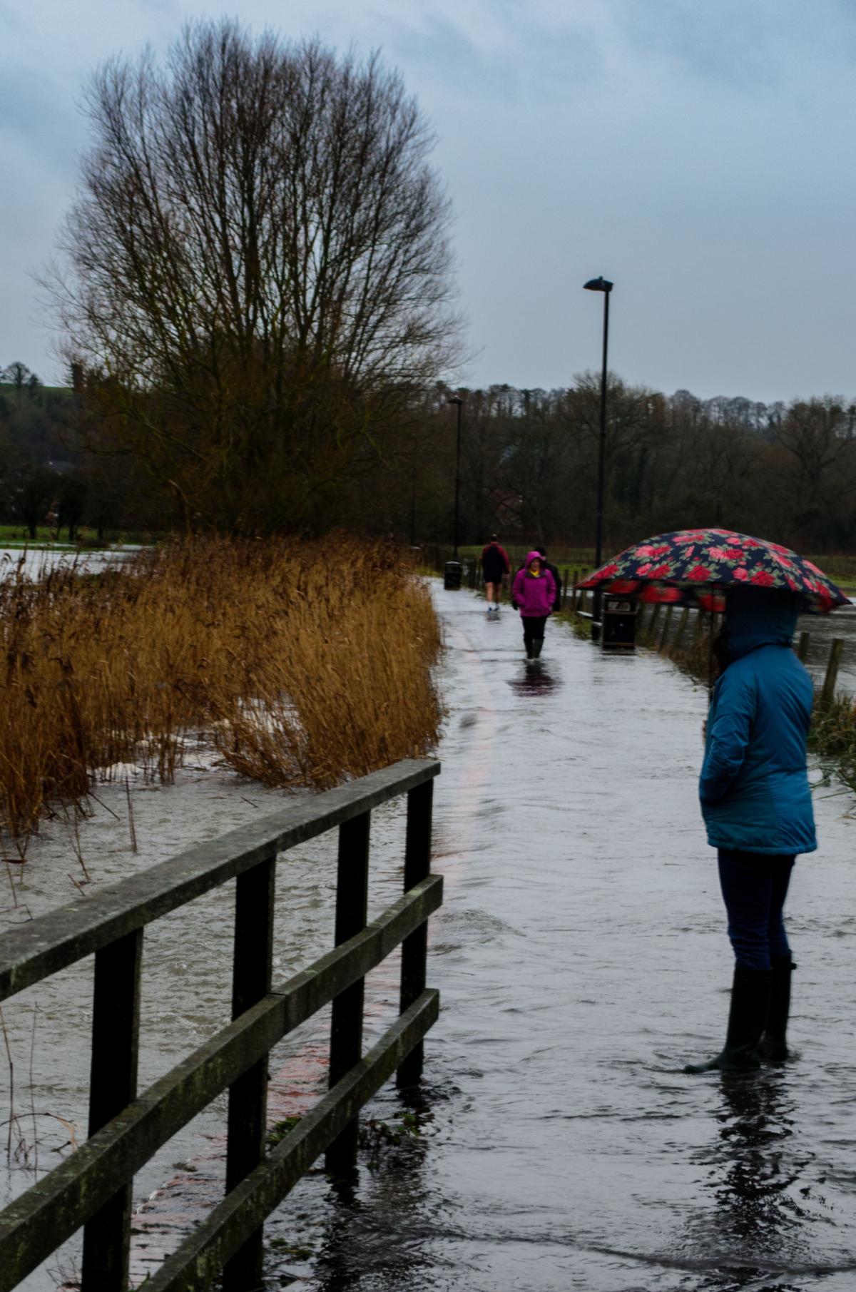 Wellies are definitely needed for Salisbury's Town Path. By Graham Tarrant