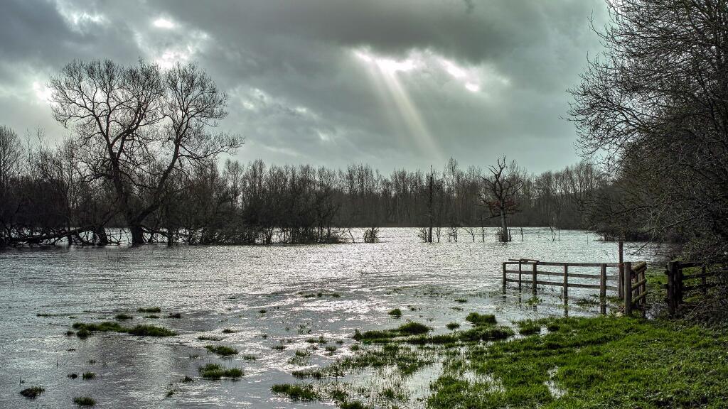 Martin Cook took this atmospheric picture of flooding in Bodenham.
