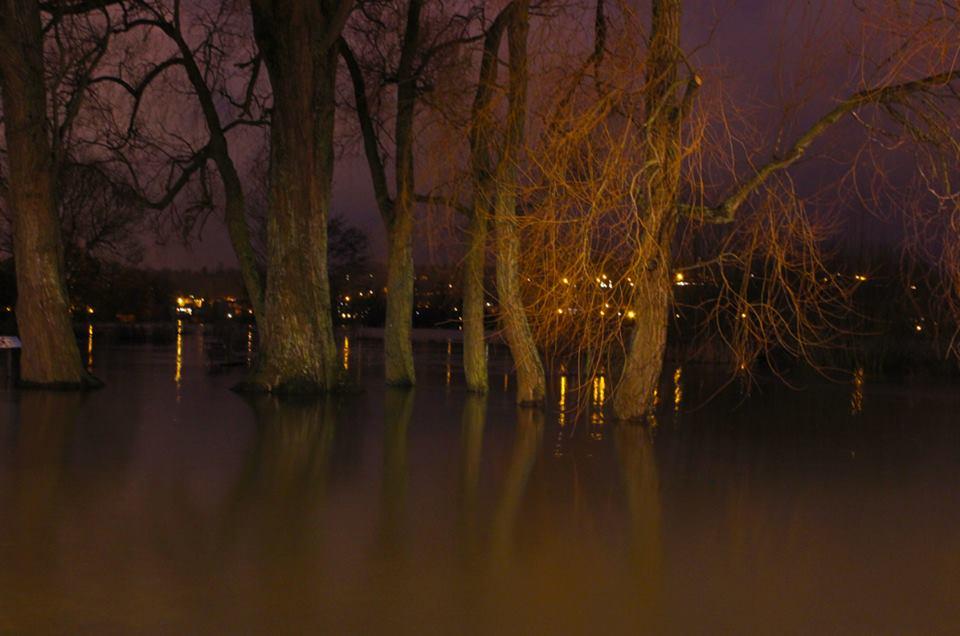 Flooding in Queen Elizabeth Gardens, taken by Laura Dale