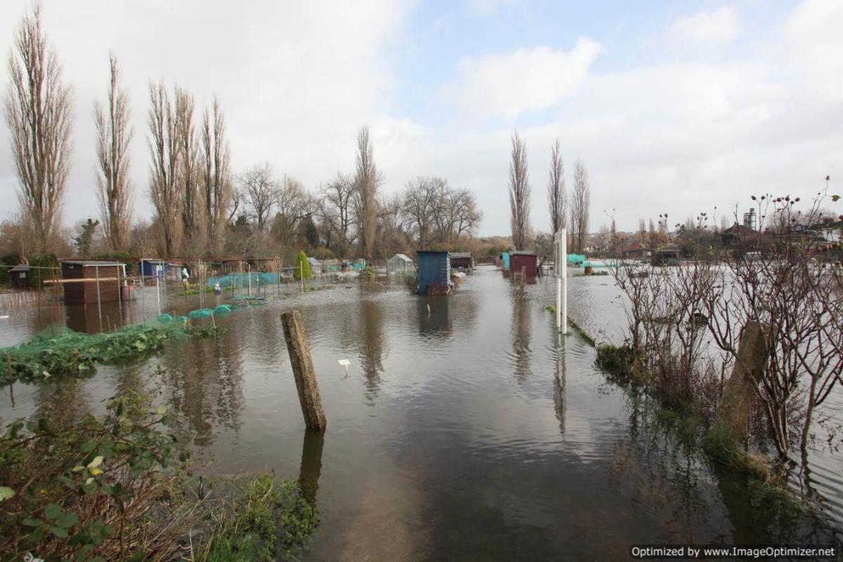 Flooded allotments near Ashley Road, Salisbury, taken by Simon Yates