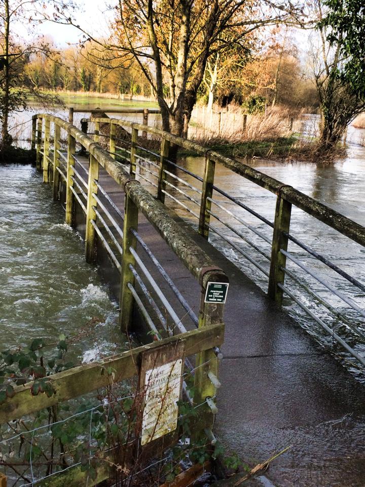 This picture of the River Wylye in Steeple Langford was taken by Steve Hannon