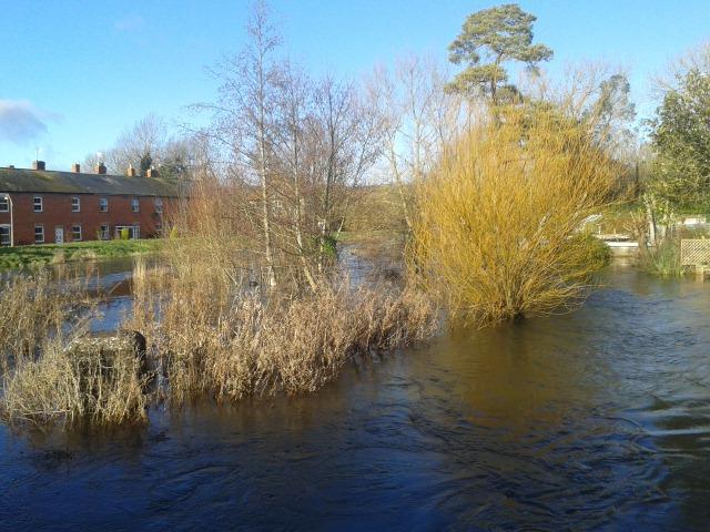 This picture of the River Wylye in Wilton was taken by Fern MacDonald