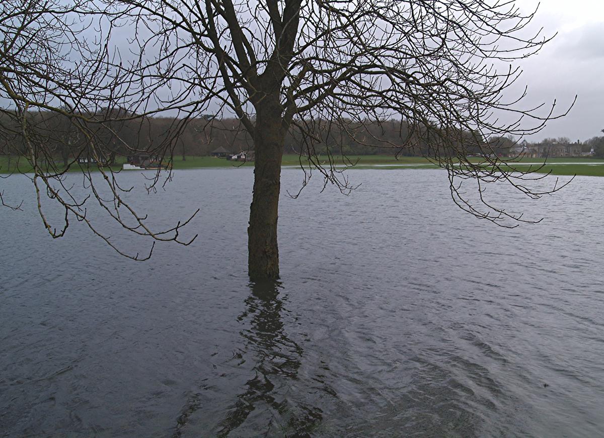Tedworth House's polo ground is now only suitable for water polo as the floods turn it into a lake. Picture by David Hargrave.