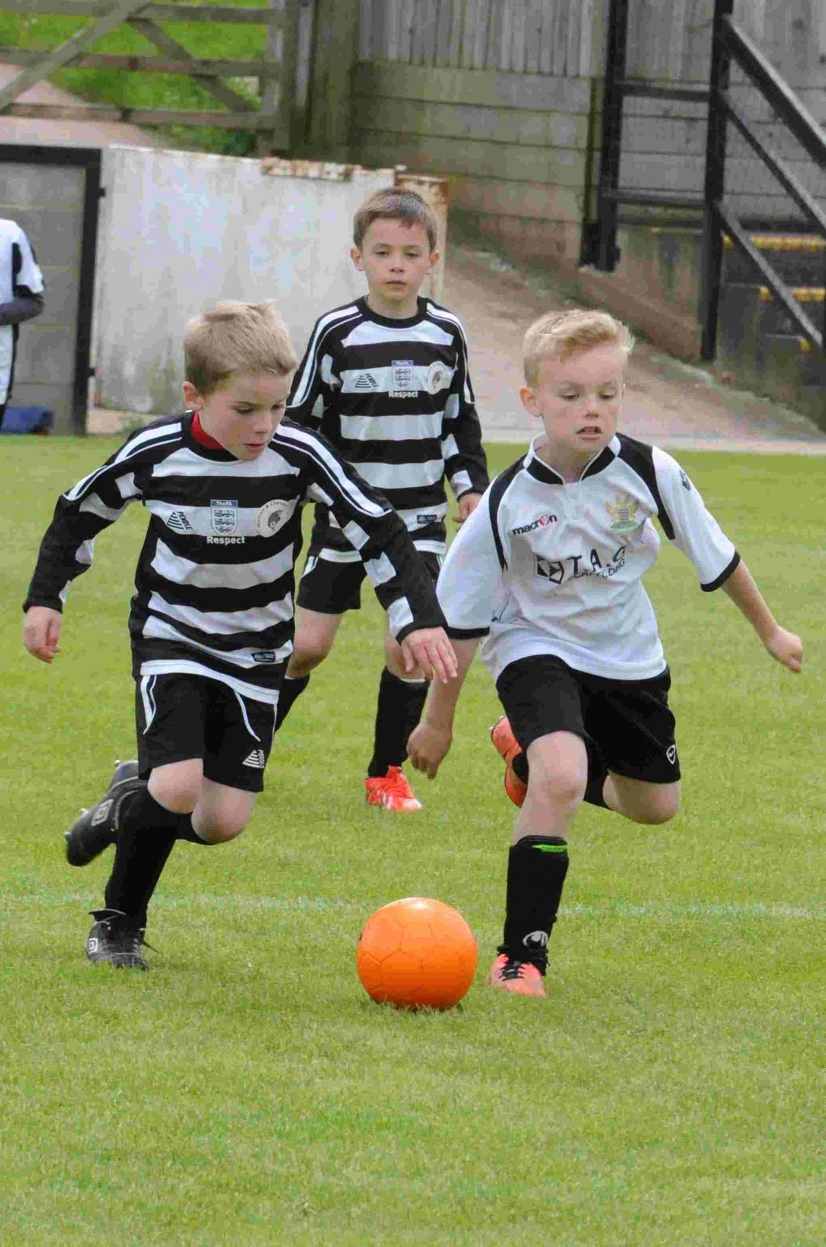 Youngsters take to the pitch at the Salisbury City Stadium Tournament.