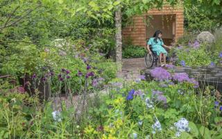 Horatio's Garden wins prestigious awards at RHS Chelsea Flower Show