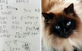 Boy donates his pocket money after death of neighbour's cat