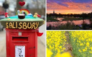 Salisbury Journal Camera Club members share brilliant colourful photos for April