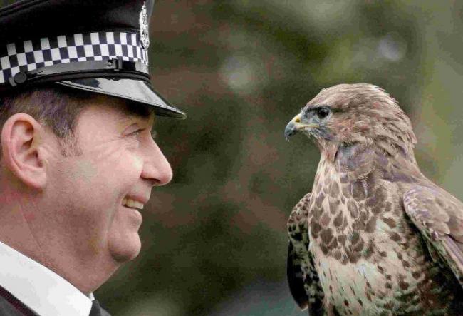 Police constable Jim McGovern holds a Common Buzzard