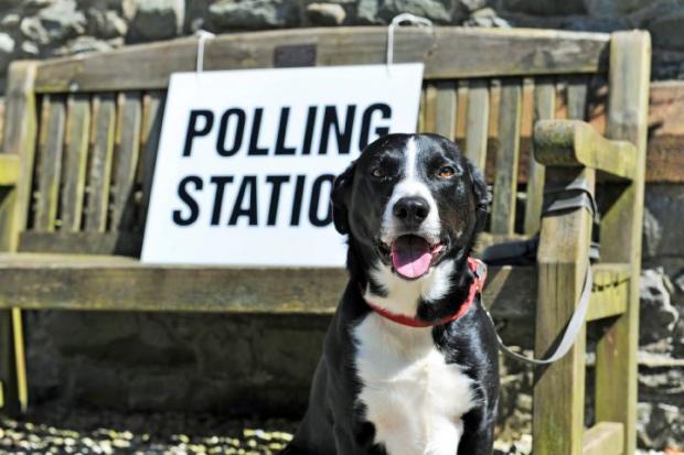 Salisbury Journal: POLLING STATIONS FOR 2017 COUNCIL ELECTION Polling stations for the 2017 council election Pictured: Frank the dog outside Lindal polling station, Buccleuch Hall, the Green Lindal in Furness, Ulverston, Thursday 4th May 2017 LEANNE BOLGER